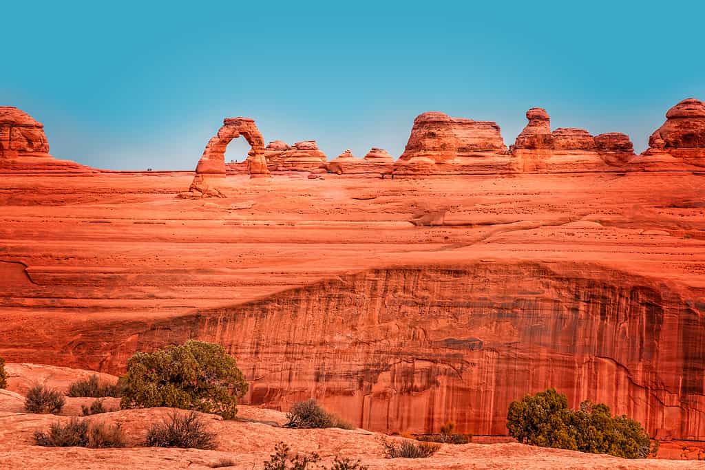 Upper Delicate Arch Viewpoint, Arches National Park, Utah, USA