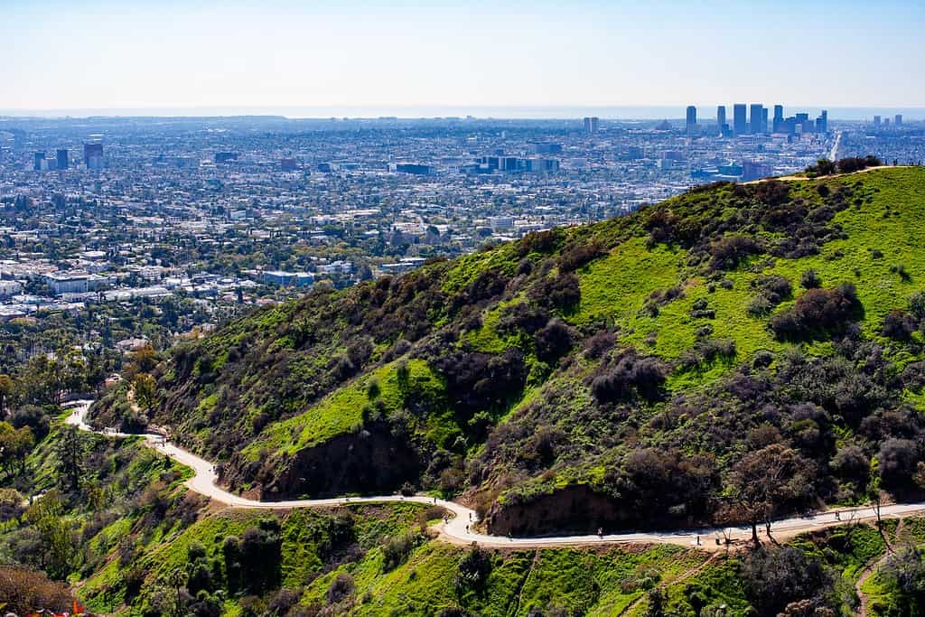 Griffith Park trail to the Hollywood Sign