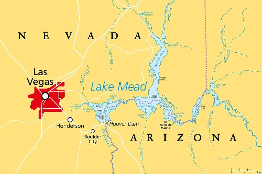 Las Vegas and Lake Mead, political map. Vegas, most populous city in Nevada, known primarily for its gambling and entertainment, left of Lake Mead, a reservoir formed by Hoover Dam on Colorado River.