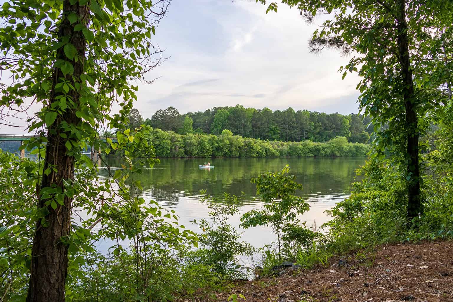 The 5 Best Georgia Lakes for Swimming - A-Z Animals