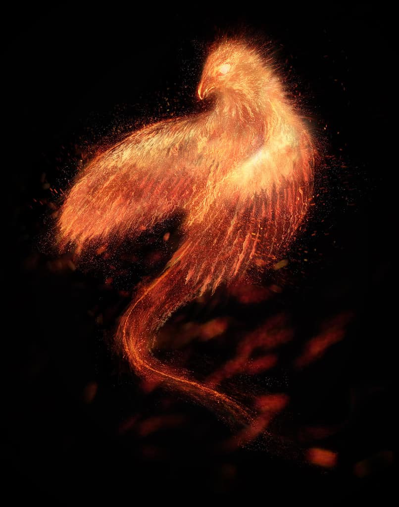 Burning bird phoenix isolated.