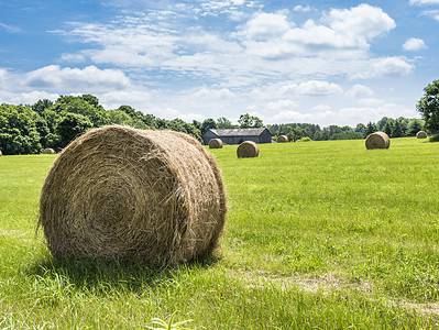 A How Much Does a Bale of Hay Weigh? The Answer May Surprise You