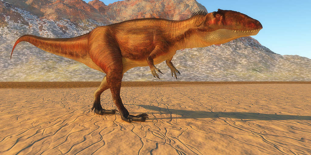 Carcharodontosaurus dinosaur