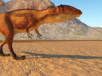A Meet the Micropachycephalosaurus — The Dinosaur With the Longest Name