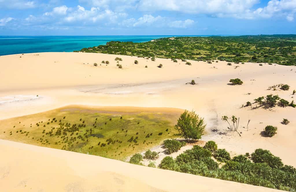 sand dunes at bazaruto national park