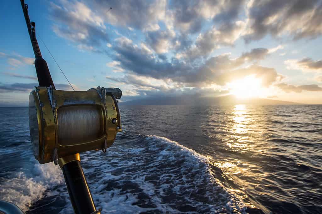 Deep Sea Fishing Reel on a boat during sunrise
