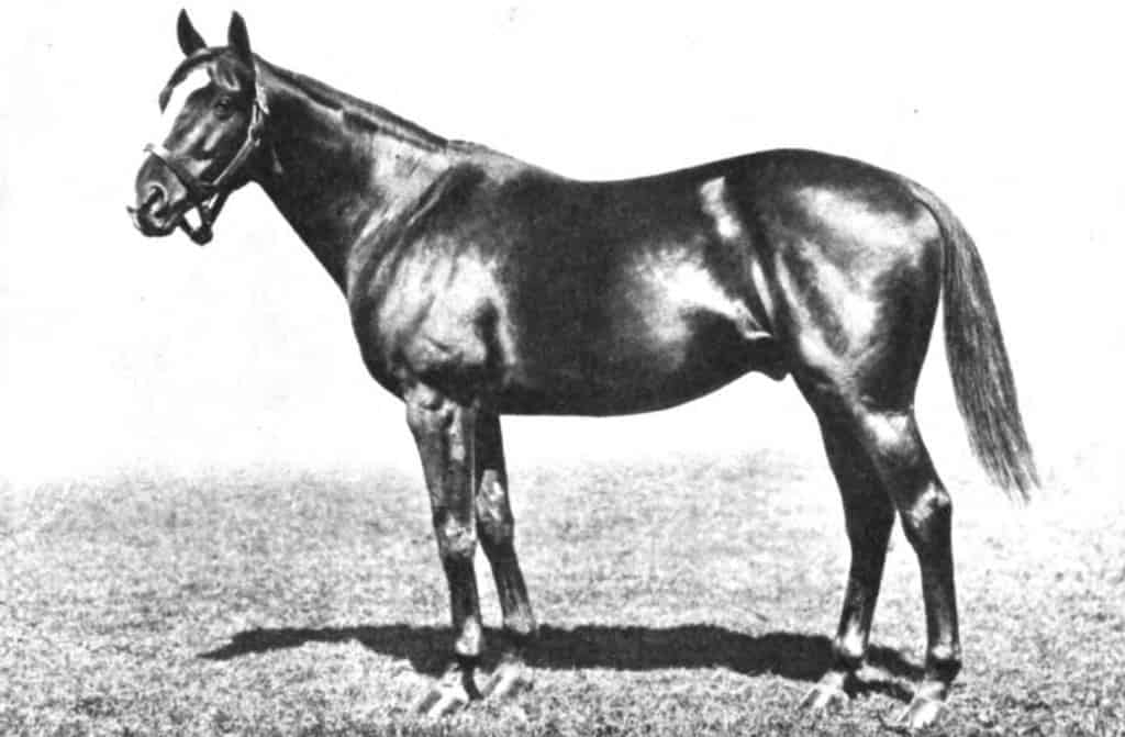Sir Barton, one of the only 13 horses to win the Triple Crown
