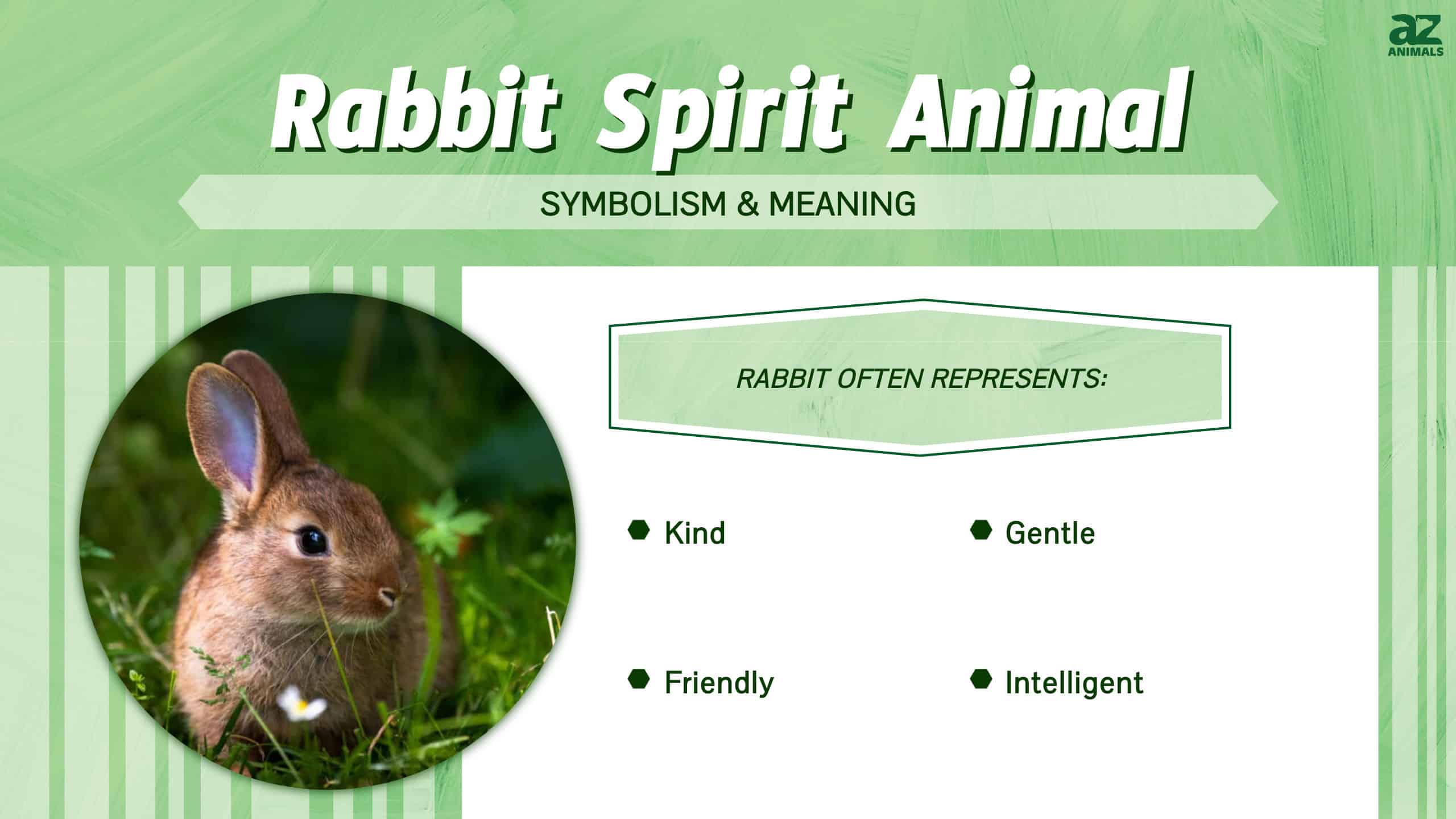 Rabbit Spirit Animal  infographic