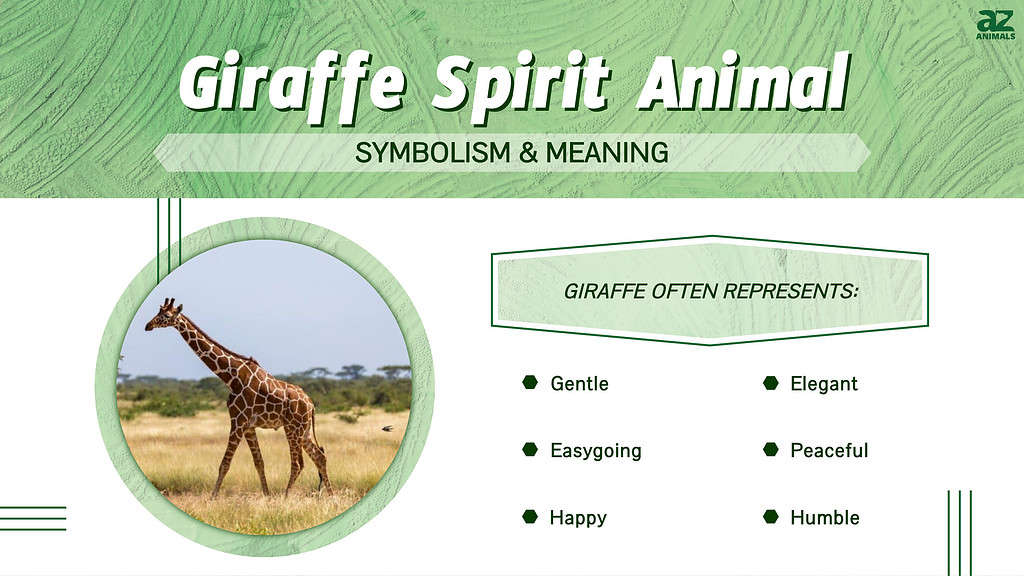 Giraffe Spirit Animal  infographic