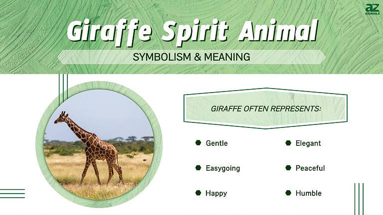 Giraffe Spirit Animal Symbolism And Meaning A Z Animals