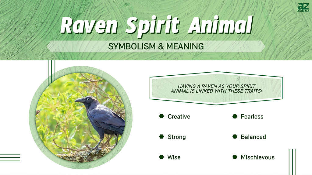 Raven spirit animal infographic 