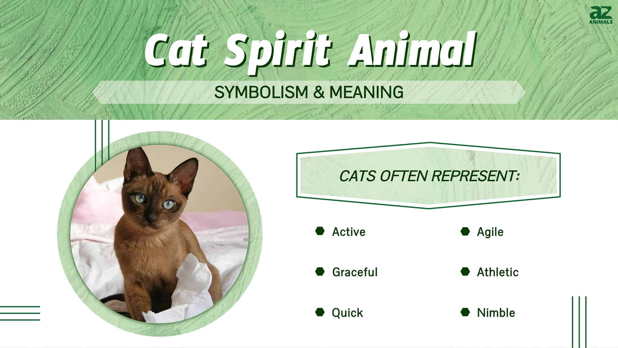 cat-spirit-animal-symbolism-meaning-a-z-animals