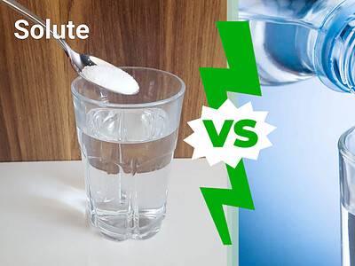 A Solute vs Solvent: What They Are and How They Interact in Solutions