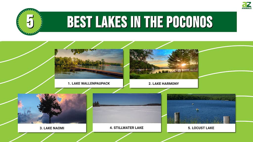 Infographic of 5 Best Lakes in the Poconos