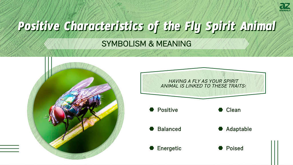 Flies Spiritual Meaning Symbolism  