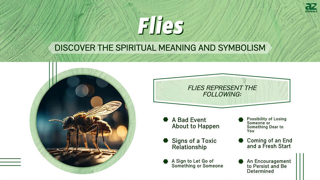 Flies Discover The Spiritual Meaning And Symbolism A Z Animals