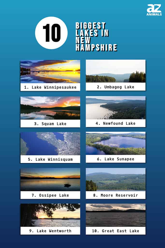 Infographic of Biggest Lakes in New Hampshire