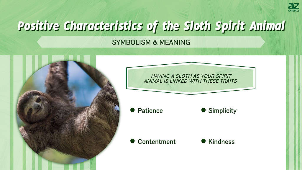 sloth spirit animal infographic