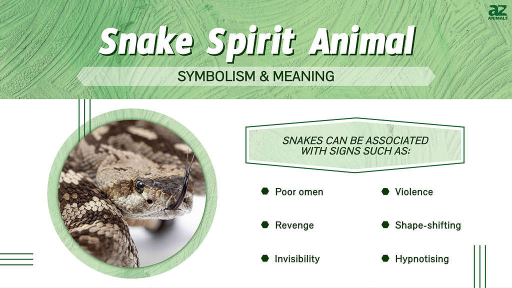 Snake Spirit Animal infographic