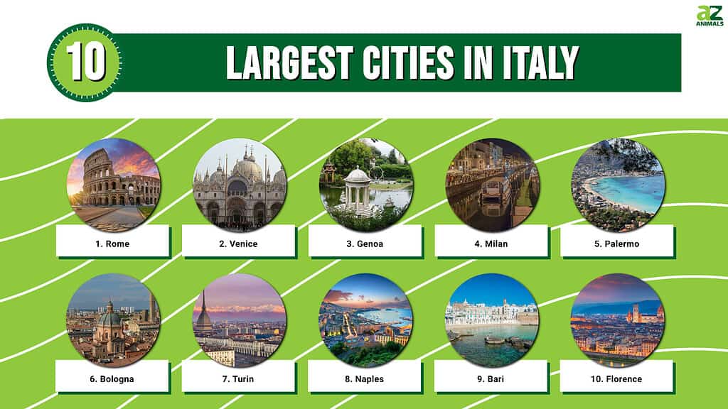 This infographic illustrates the 10 largest cities in Italy