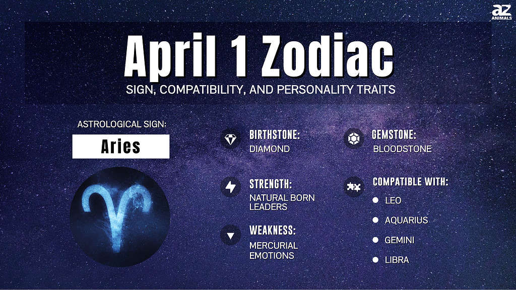 Aries infographic