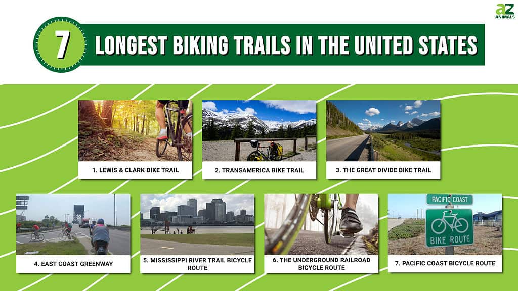 Infographic of 7 Longest Biking Trails in the United States