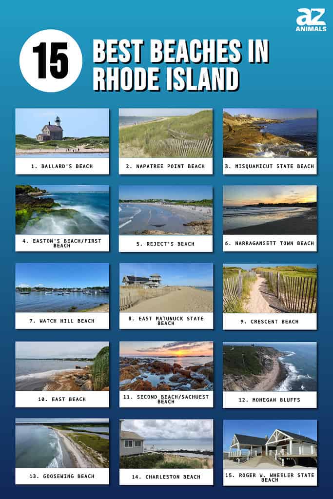The 15 Best Beaches in Rhode Island - AZ Animals