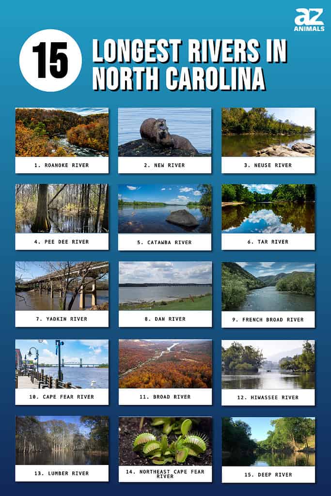 Longest Rivers In North Carolina infographic