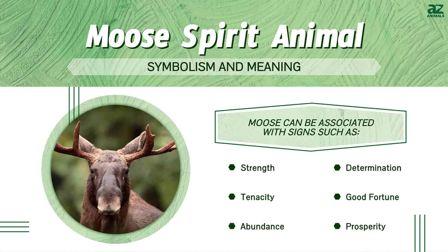 moose-spirit-animal-symbolism-meaning-a-z-animals