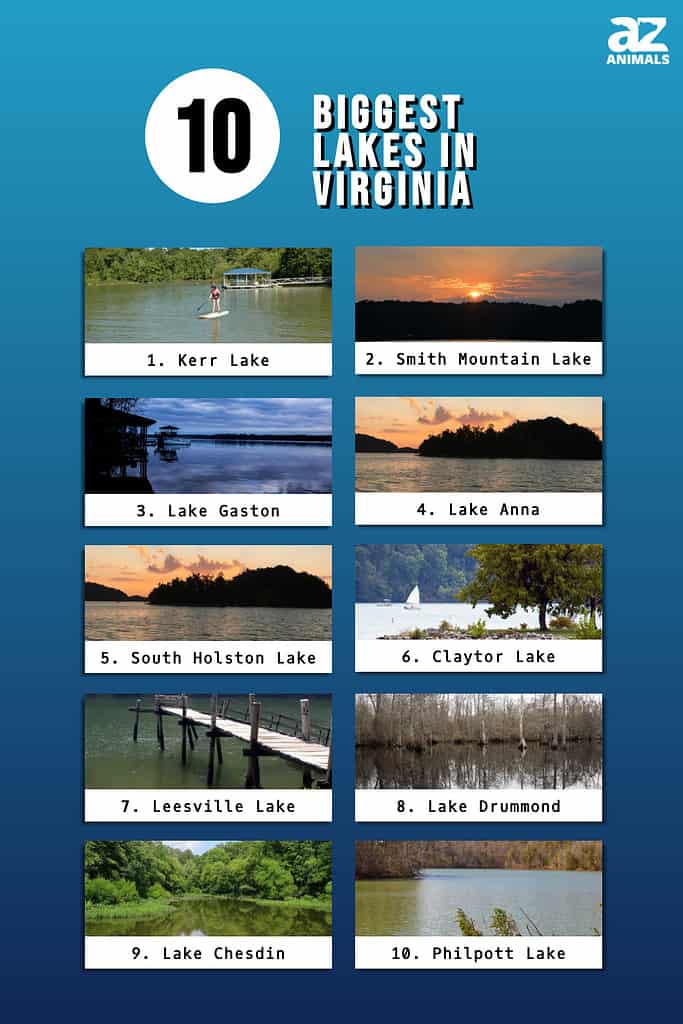 Infographic of 10 Biggest Lakes in Virginia