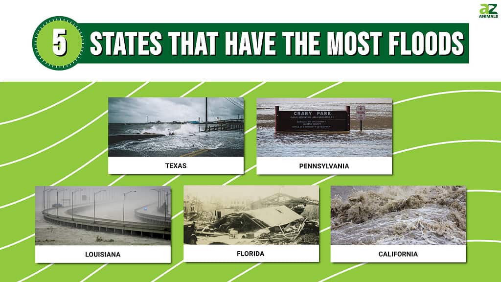 Picture graph of 5 states that have the most floods in the US.