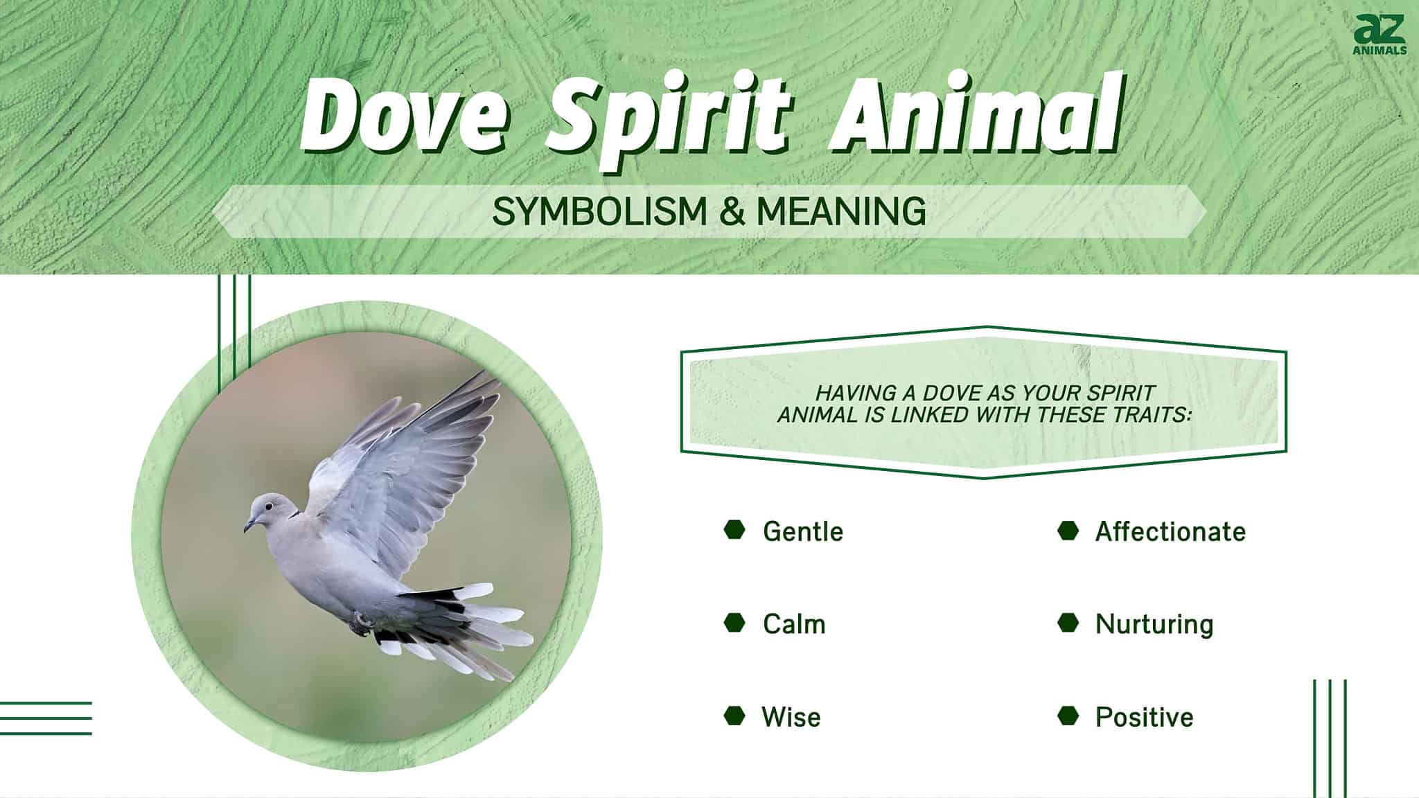 Dove Spirit Animal Symbolism & Meaning - A-Z Animals
