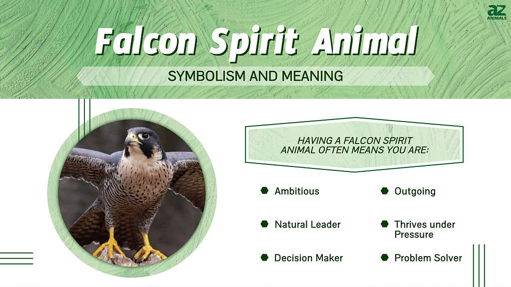 Falcon Spiritual Meaning Symbolism  