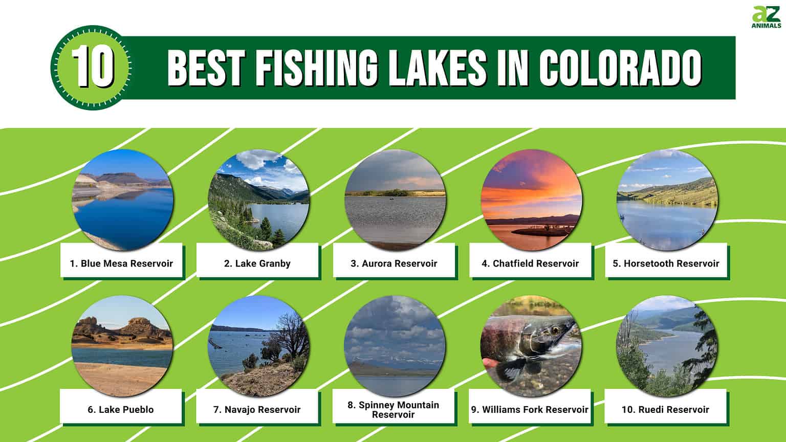 The 10 Best Fishing Lakes in Colorado (And the Types of Fish to Expect!) AZ Animals