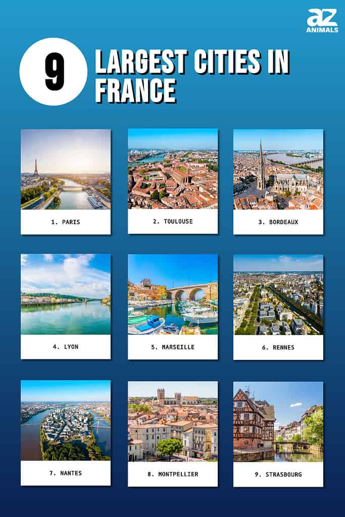 This infographic illustrates the nine largest cities in France by land size