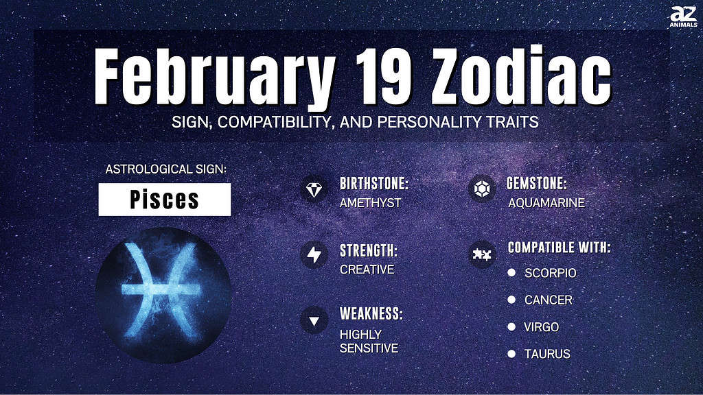 Infographic of February 19 Zodiac