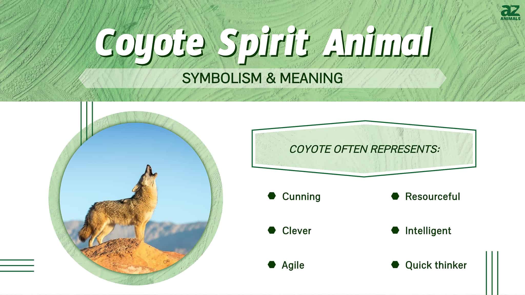 coyote-spirit-animal-symbolism-meaning-a-z-animals