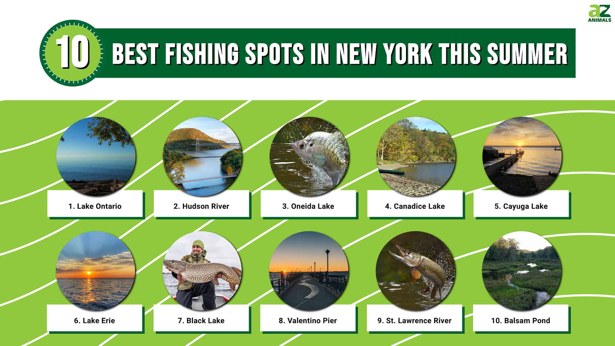 The 10 Best Fishing Spots In New York This Summer - A-Z Animals