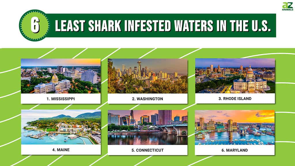 Infographic of 6 Least Shark Infested Waters in the U.S. 