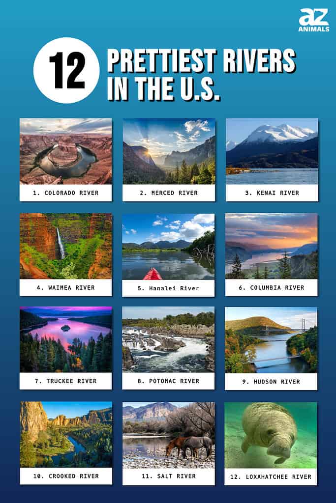 Infographic of 12 Prettiest Rivers in the U.S.