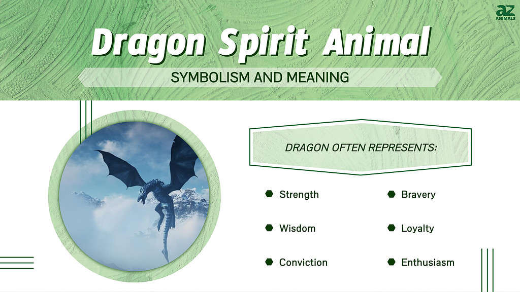 Dragon Spirit Animal  infographic