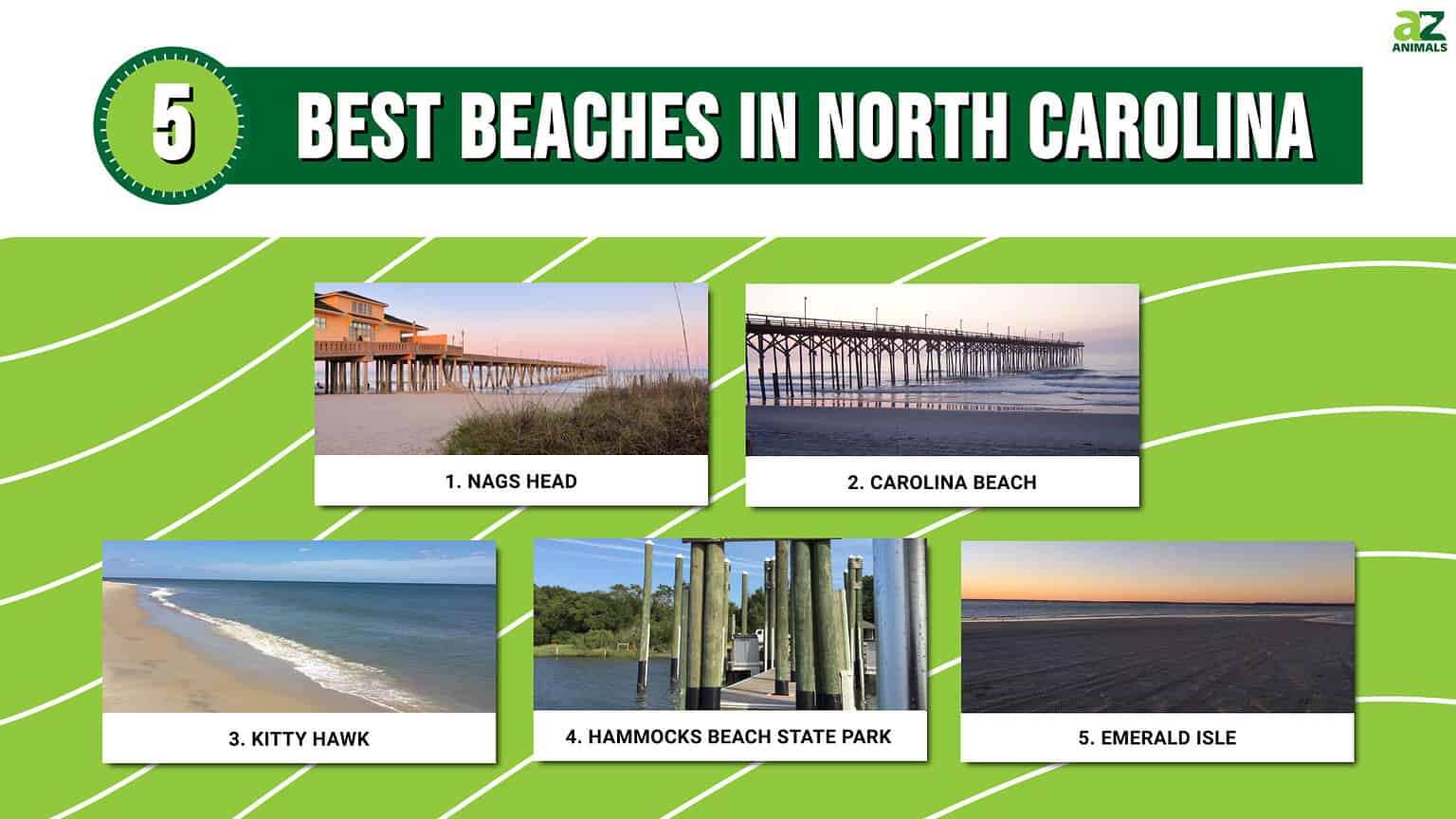 The 5 Best Beaches In North Carolina in 2024 - A-Z Animals
