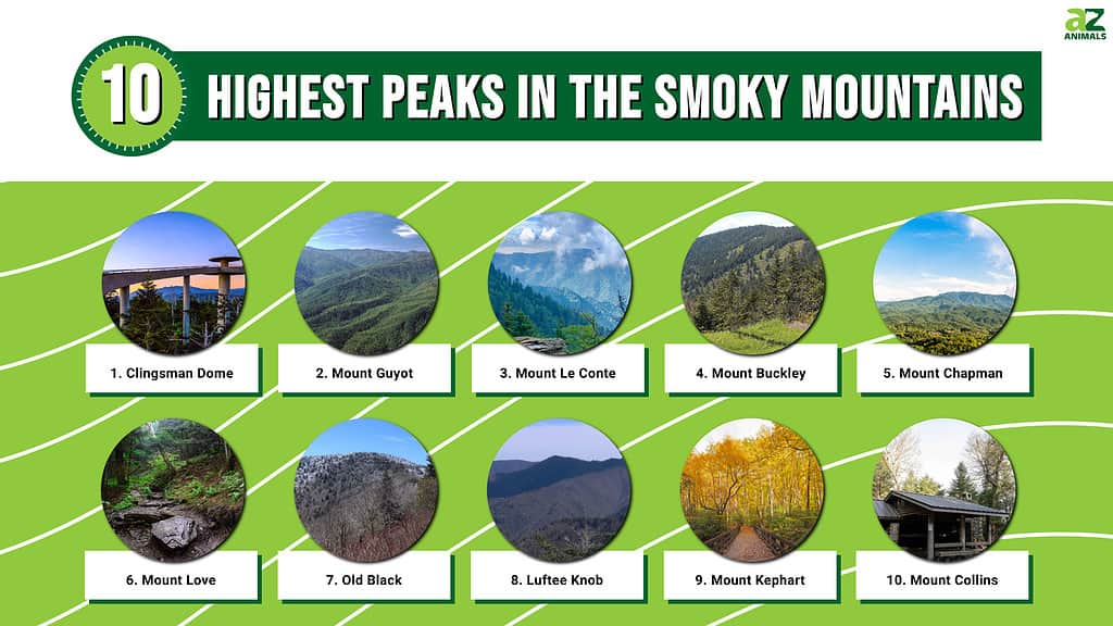 Many of the highest peaks in the Smoky Mountains can be reached from the Appalachian Trail.