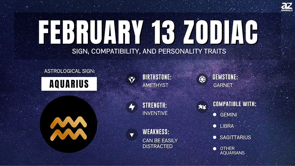 Infographic of February 13 Zodiac