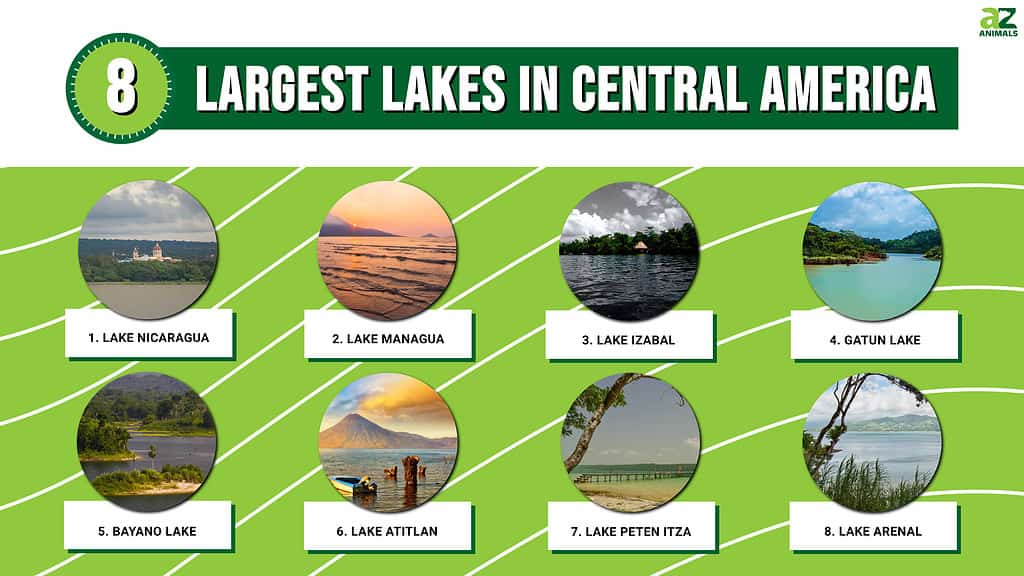Infographic of 8 Largest Lakes in Central America
