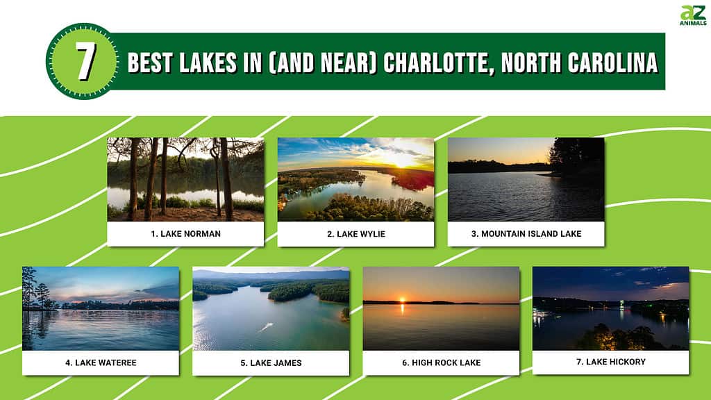 Infographic of 7 Best Lakes in (and Near) Charlotte, North Carolina