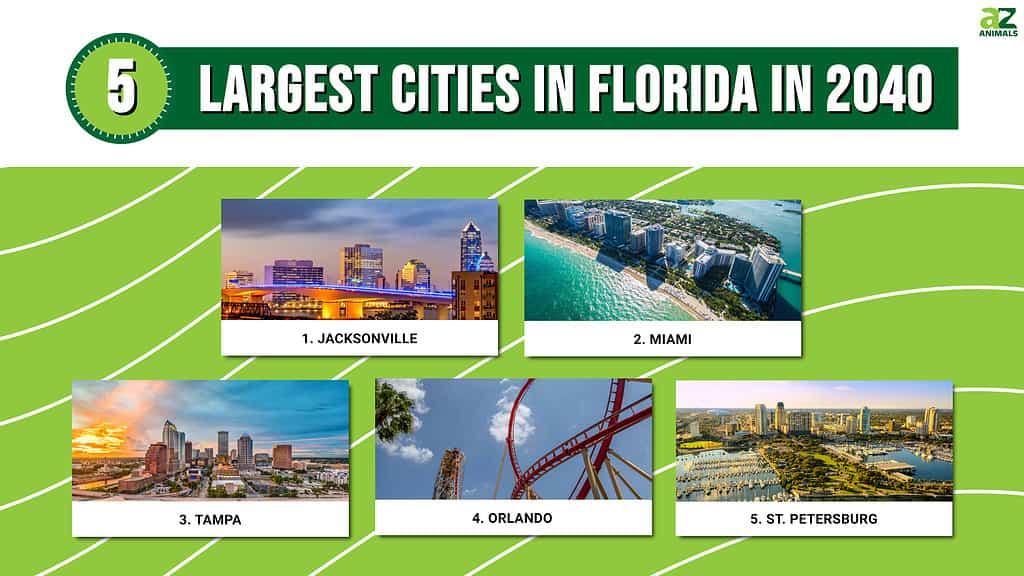 Infographic of 5 Largest Cities in Florida in 2040