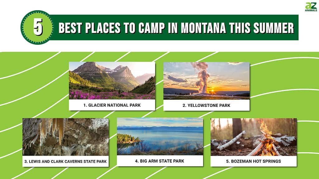 Infographic of 5 Best Places to Camp in Montana This Summer