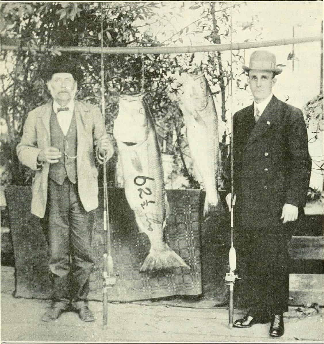 The Largest Striped Bass Ever Caught in Tennessee Was as Big as a