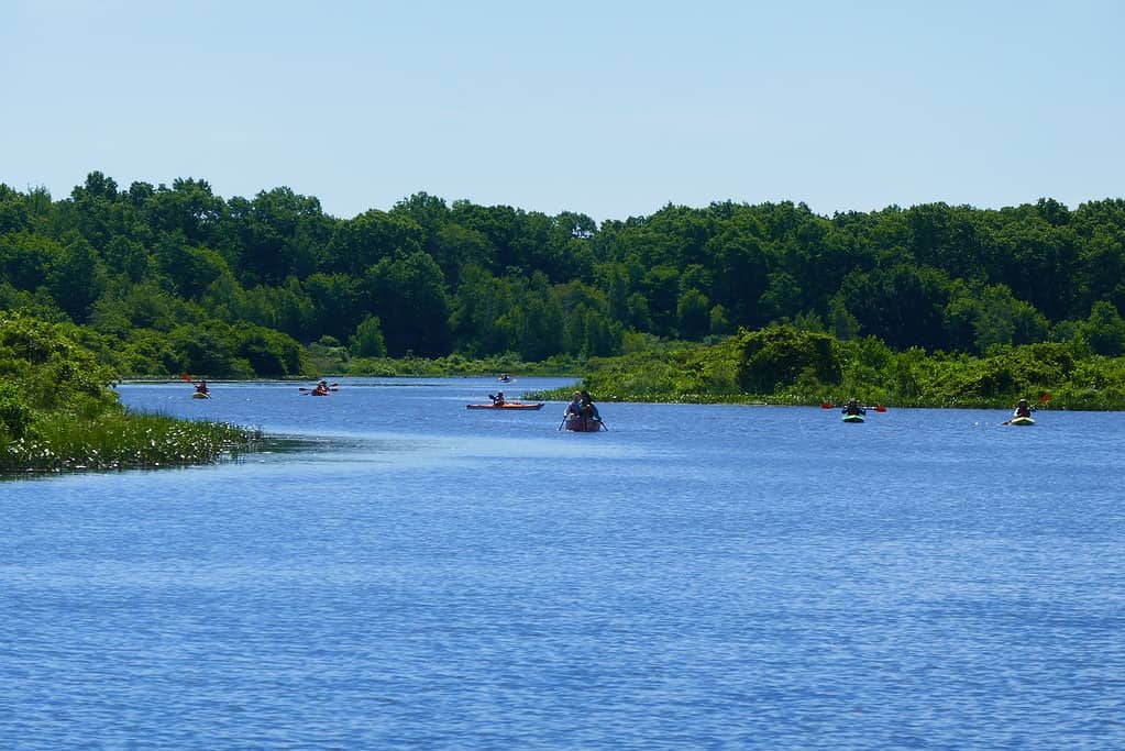 Kayakers in the Charles River next to Cutler Park, Needham, Massachusetts